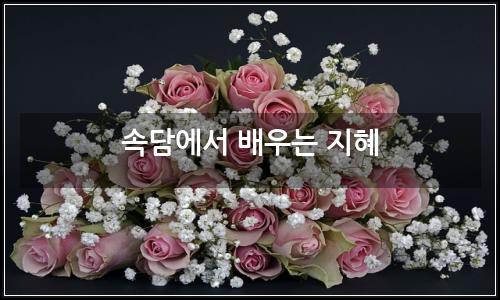 오늘의 이미지