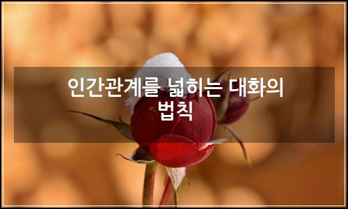 오늘의 이미지