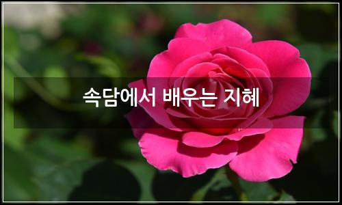 오늘의 이미지