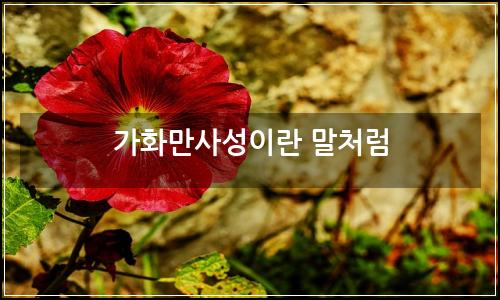 오늘의 이미지