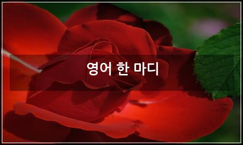 오늘의 이미지