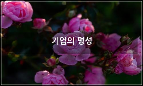 오늘의 이미지