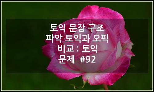 오늘의 이미지