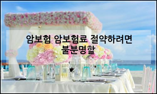 오늘의 이미지