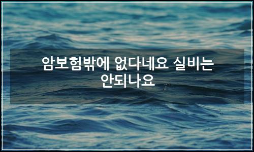 오늘의 이미지
