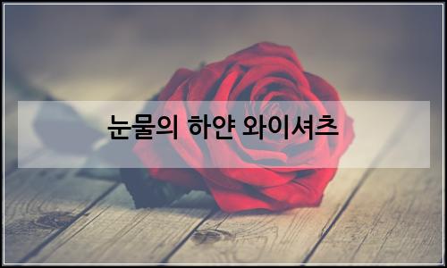 오늘의 이미지