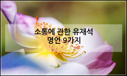 오늘의 이미지