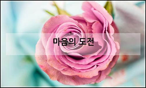 오늘의 이미지