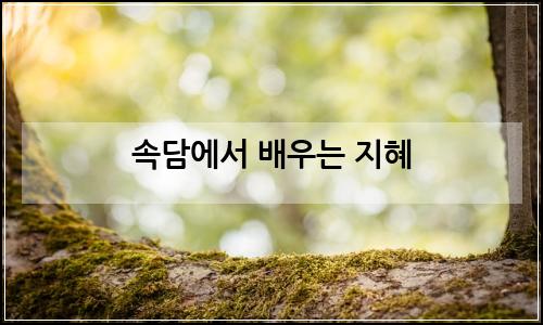 오늘의 이미지