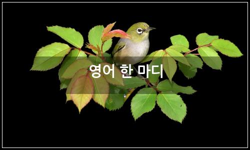 오늘의 이미지