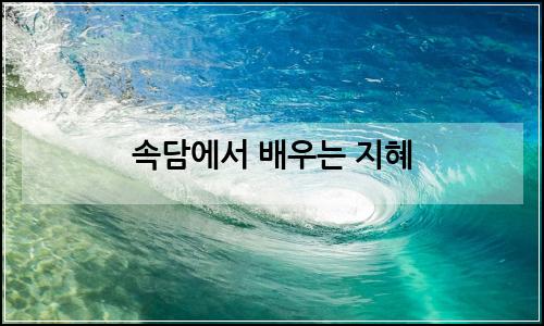 오늘의 이미지