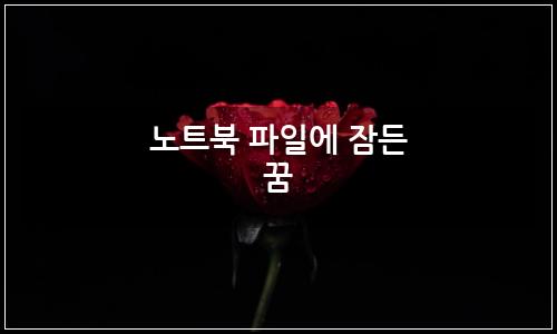 오늘의 이미지