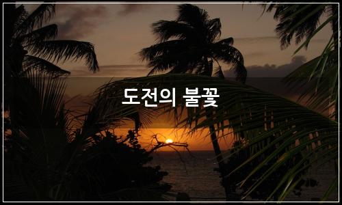 오늘의 이미지