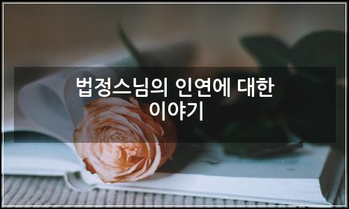 오늘의 이미지