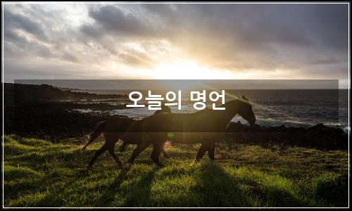 오늘의 이미지