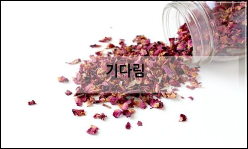 오늘의 이미지