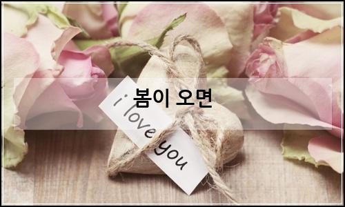 오늘의 이미지