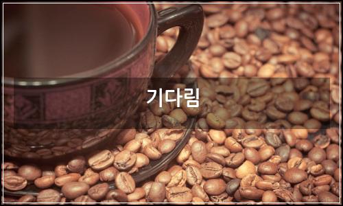 오늘의 이미지