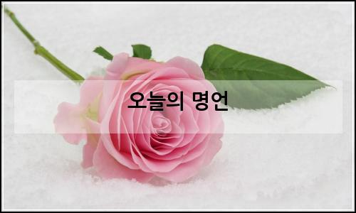오늘의 이미지