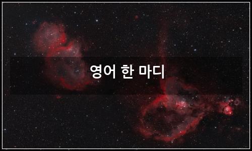 오늘의 이미지