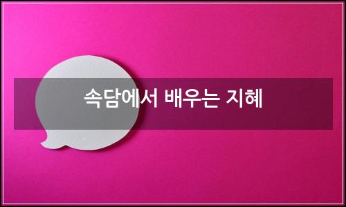 오늘의 이미지