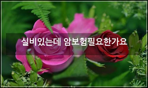 오늘의 이미지