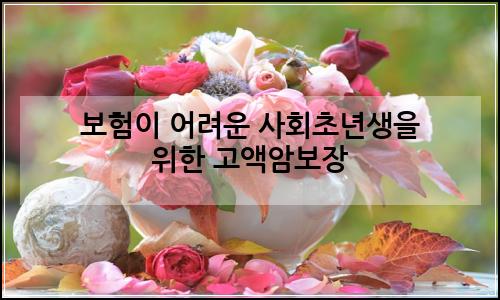 오늘의 이미지