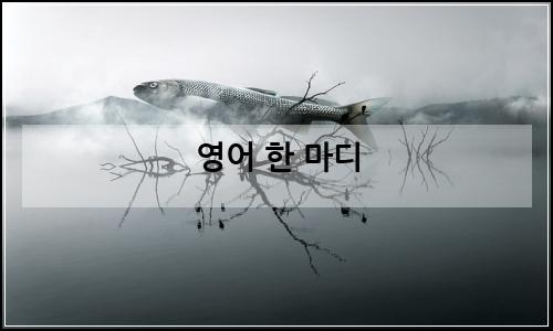 오늘의 이미지