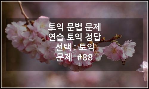오늘의 이미지