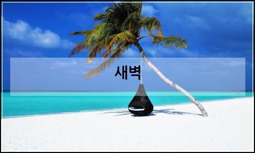 오늘의 이미지