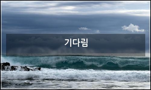 오늘의 이미지