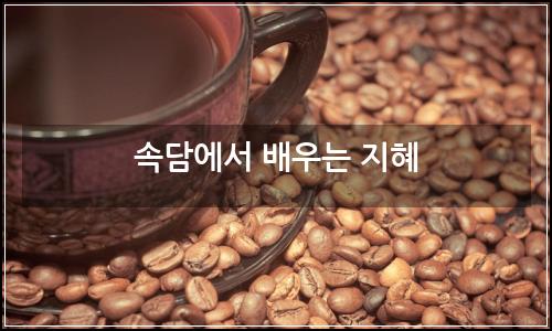 오늘의 이미지