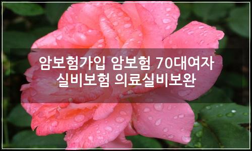 오늘의 이미지