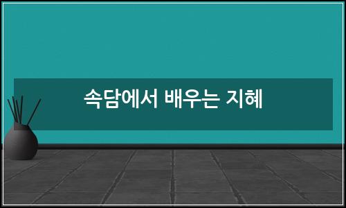 오늘의 이미지