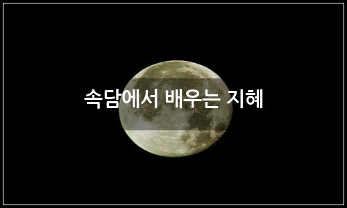 오늘의 이미지