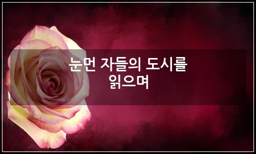 오늘의 이미지