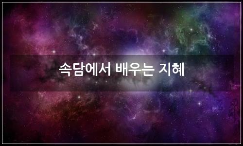 오늘의 이미지