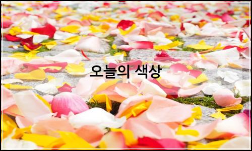 오늘의 이미지
