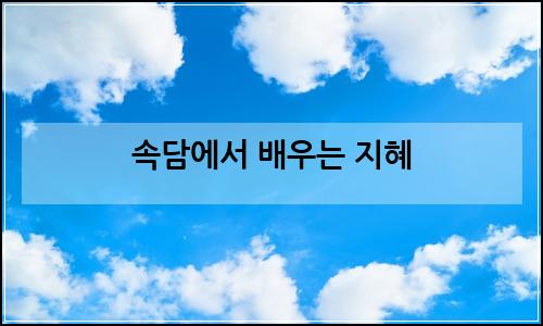 오늘의 이미지
