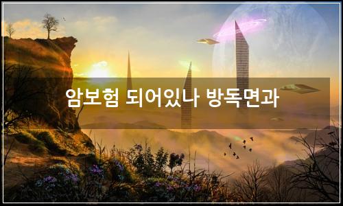 오늘의 이미지