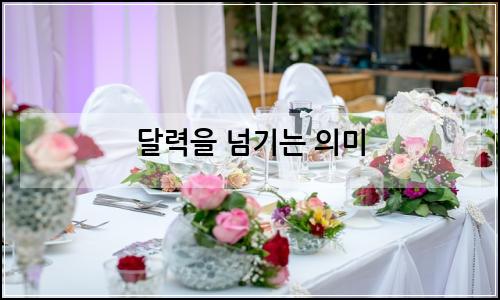 오늘의 이미지