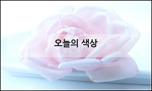 오늘의 이미지