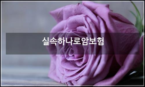 오늘의 이미지