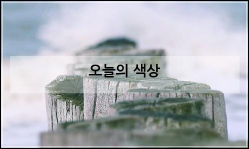 오늘의 이미지