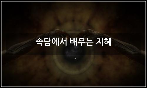 오늘의 이미지