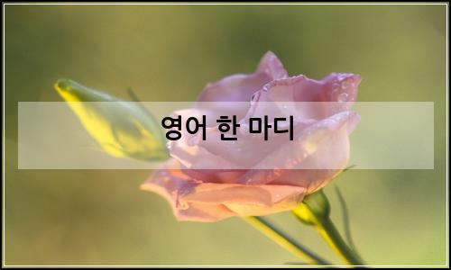오늘의 이미지