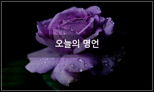 오늘의 이미지