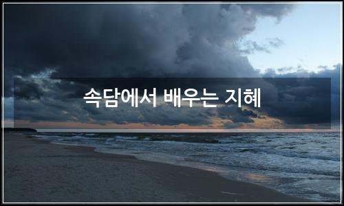 오늘의 이미지