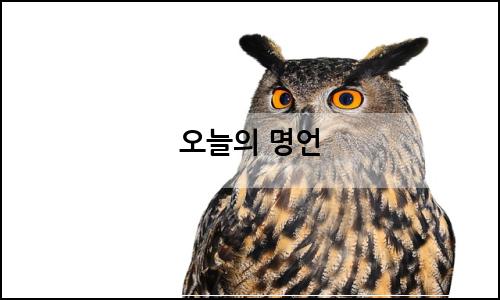 오늘의 이미지