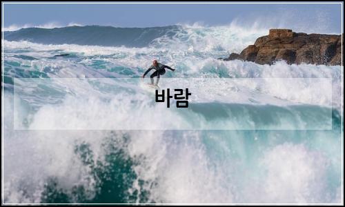 오늘의 이미지